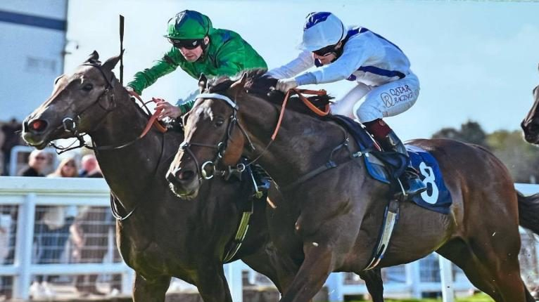 Final 2 Furlongs Racing Club Membership and 0.1% member share in Twilight Heir