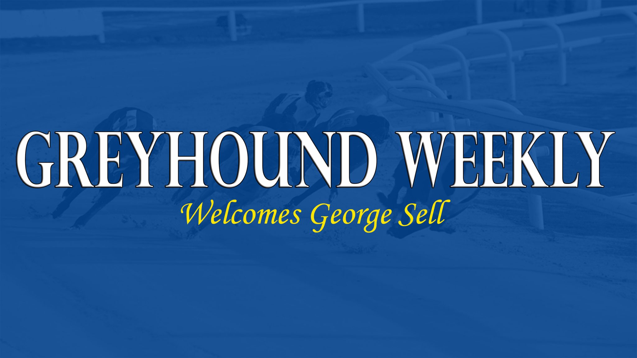 Greyhound Weekly welcomes our new columnist, George Sell - Greyhound Weekly