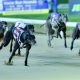 Irish Grand National 2024 March On Freddie
