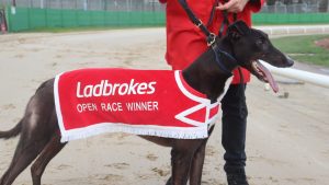 Links Maverick at Monmore