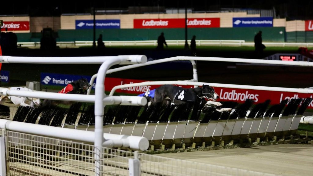 Patterdale Zorro jumps a hurdle impressively as he wins Heat 3 of The Ladbrokes Grand National at Crayford