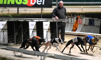 Action from the Arena Racing Company Northern Puppy Derby heats from Newcastle.