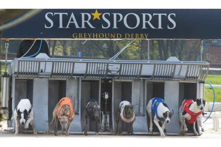 025-Star-Sports-TRC-Greyhound-Derby