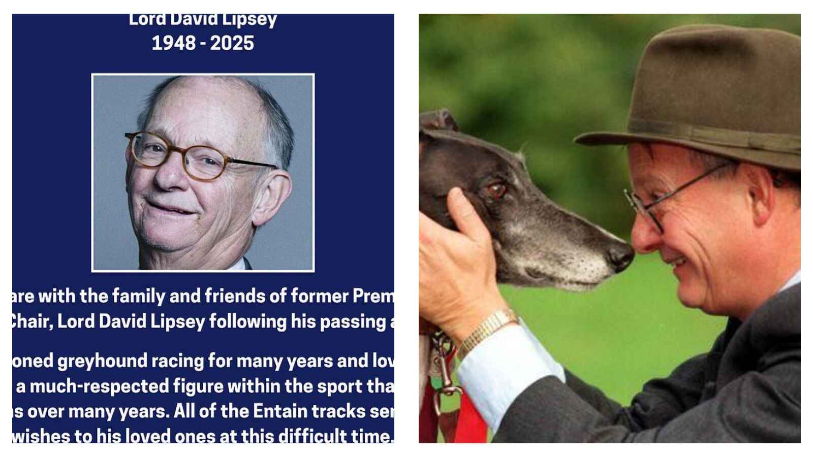 Lord David Lipsey