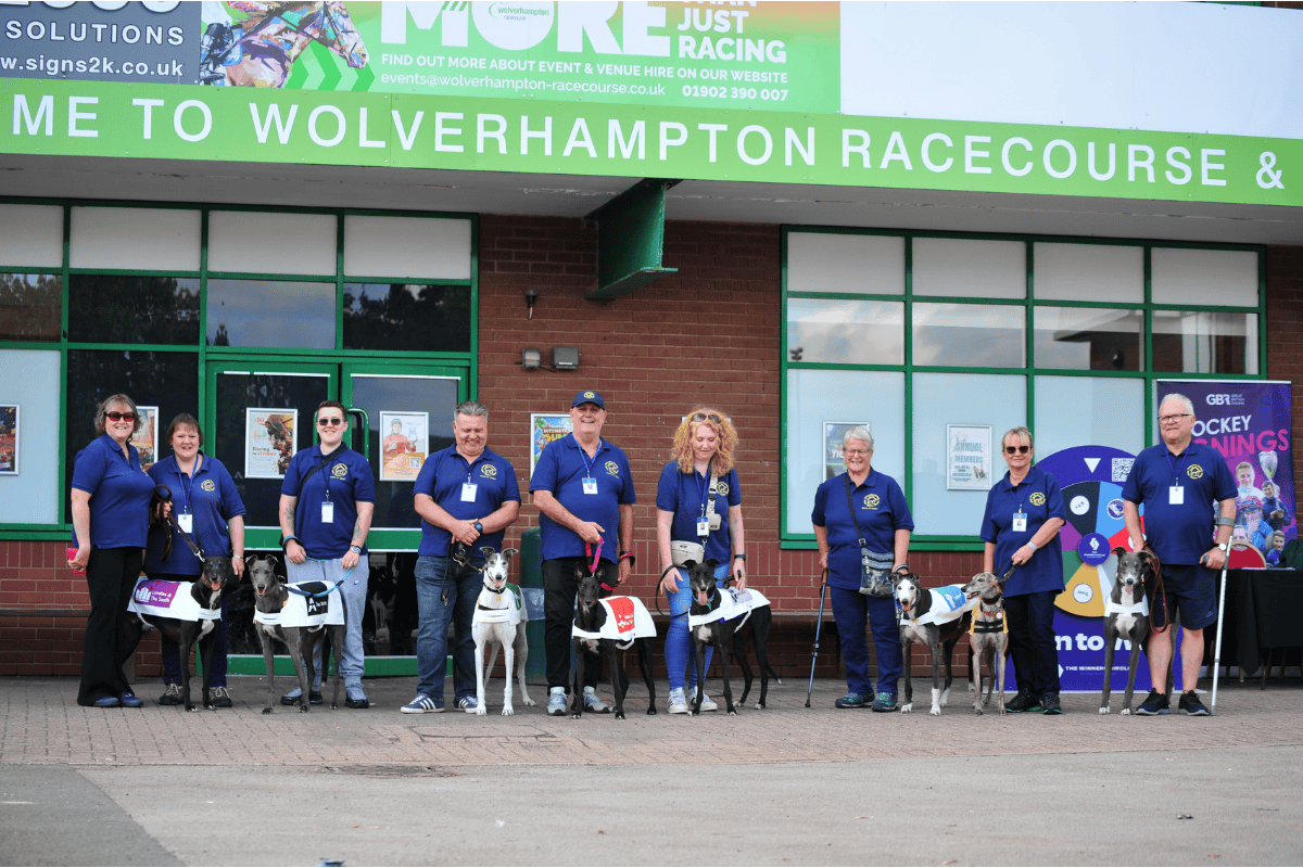Greyhounds at Dunstall Park Greyhound Stadium