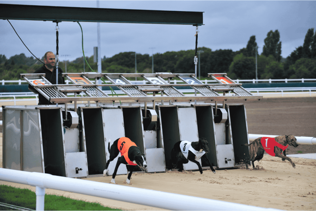 Dunstall Park Greyhound Stadium (1)