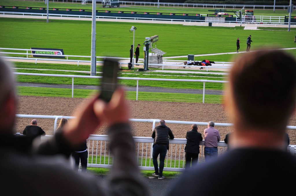 Dunstall Park Greyhound Stadium Sept 2025