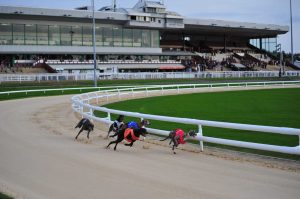 Dunstall Park Greyhound Stadium Sept 2025