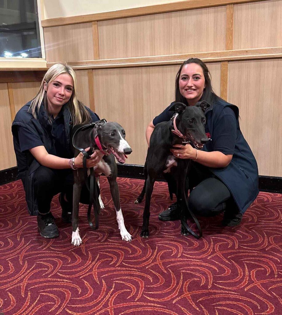 National Greyhound Week celebrations (1)