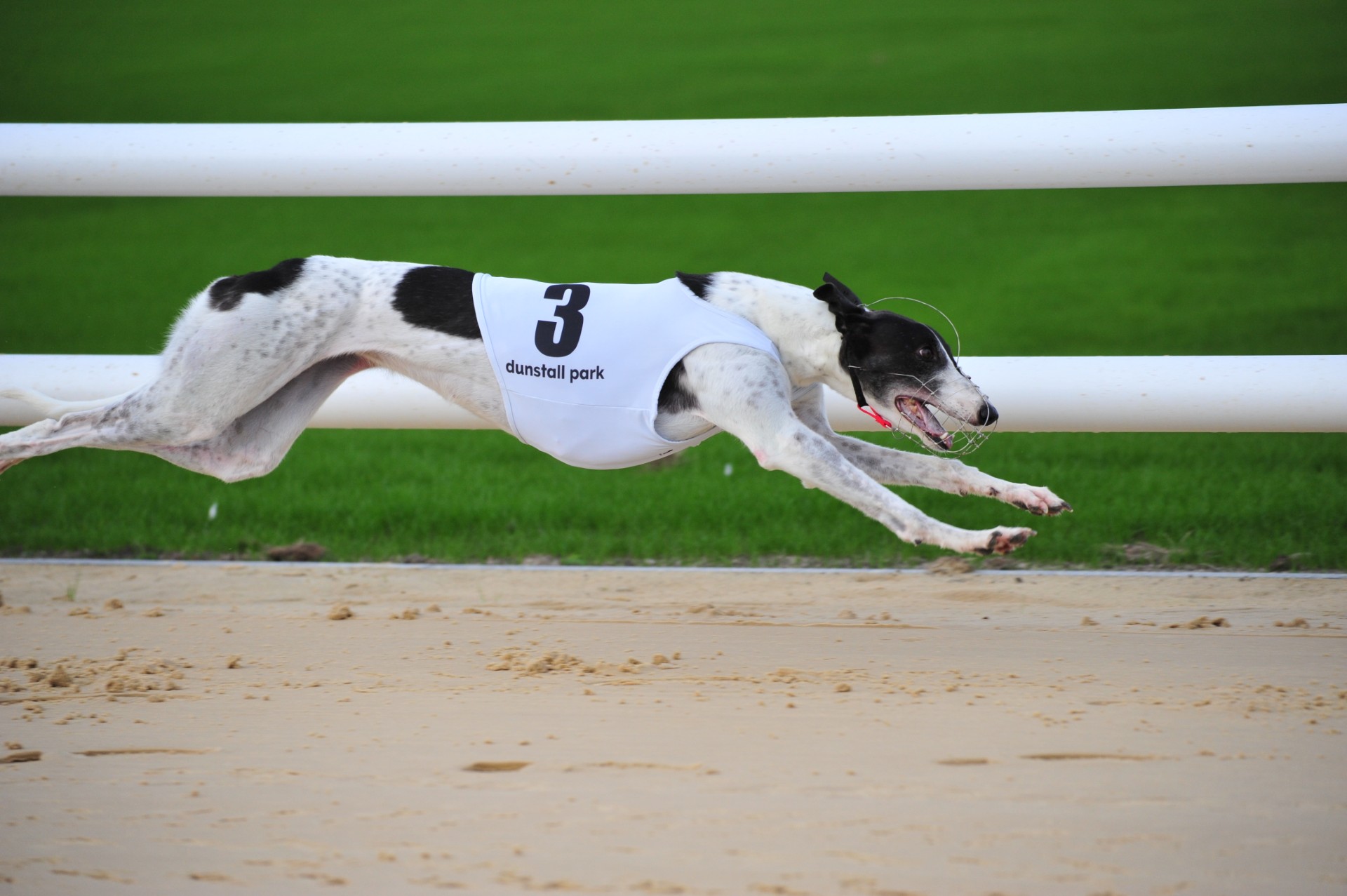 Droopys Kathleen