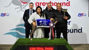 Romeo Tomcat Patrick Janssens