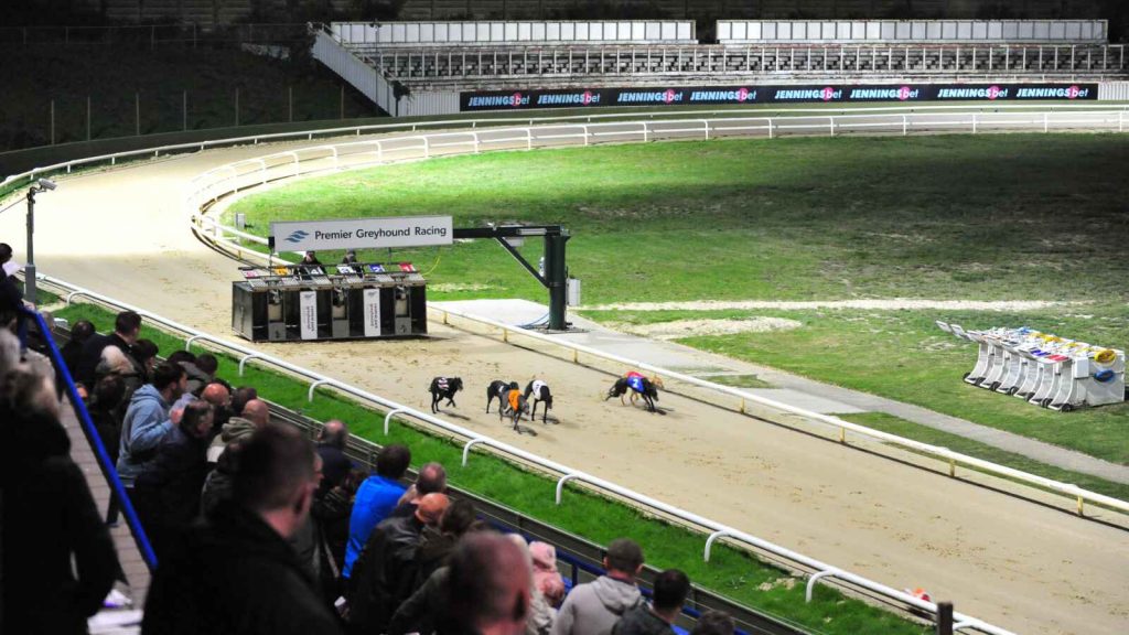 Central Park Greyhound Stadium