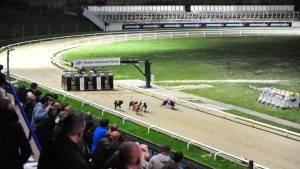 Central Park Greyhound Stadium