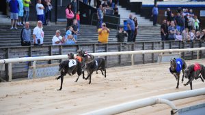 Slingshot Gazza (trap three) en route to his first UK win.