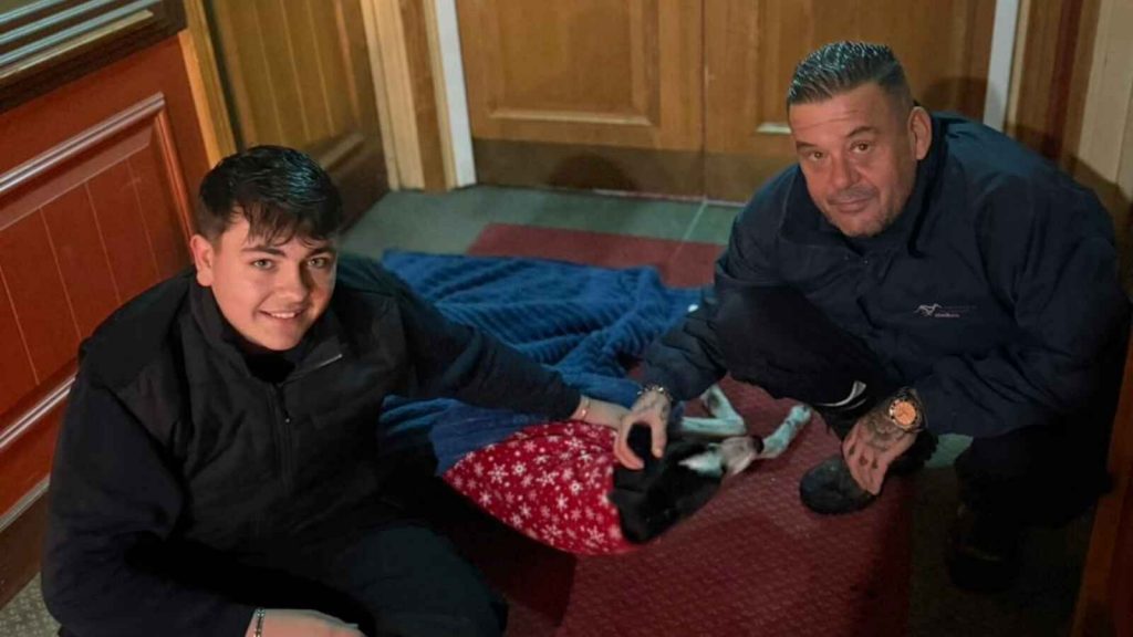 Luke Wilson and Tony Foster of Sunderland’s grounds team with Badger