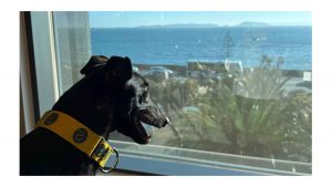 Safe Cash – now known as Buster