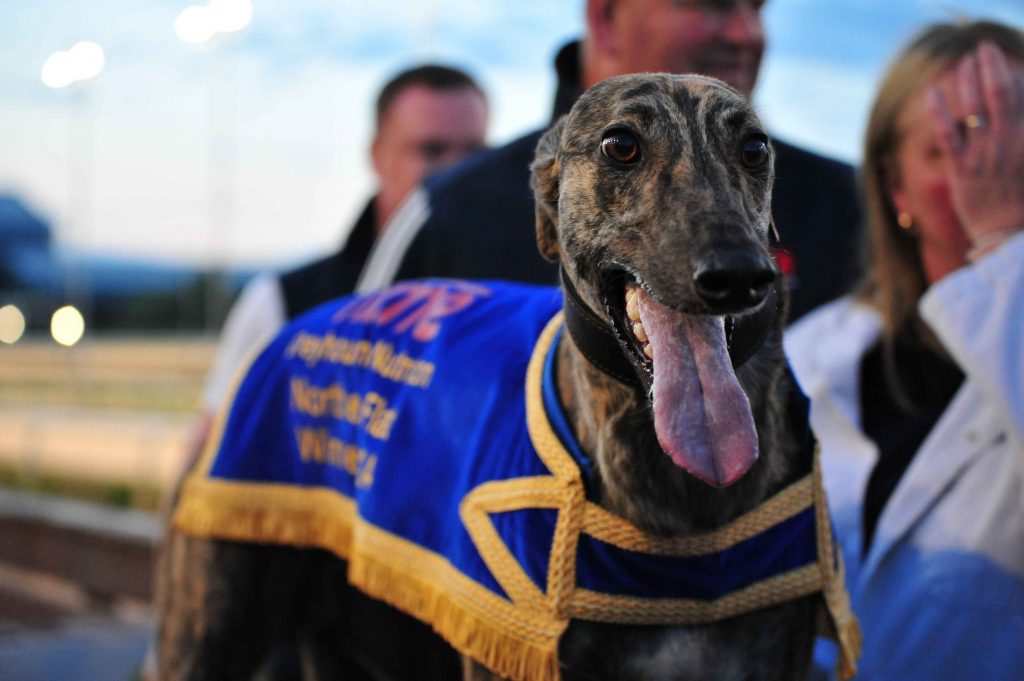 Champion racer Wicky Ned